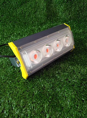 led投光灯射灯室外户外照明广告防水50w100W照树30w金黄绿色 红色