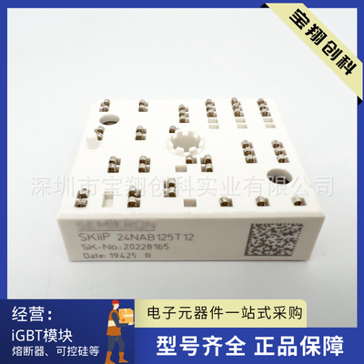 SKIIP24NAB125T12 SKIIP22NAB125T12 31NAB125T12 32NAB125T12