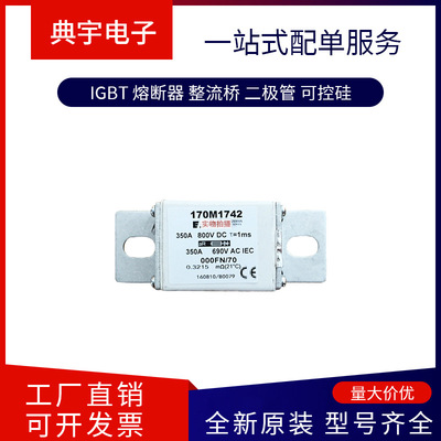 熔断器170M1751 1752 1753 1754 1755 1756 1757  1758型号齐全