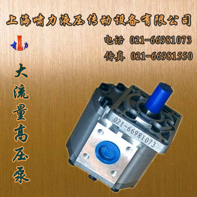 CBT-E550-FPR 液压泵 平键右旋 法兰式油口连接方式 啸力齿轮泵