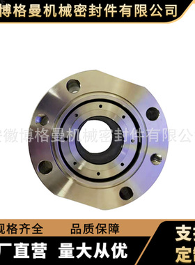 H75VK机械密封25-H75VK/60-FTA303-A3机械密封 前置泵机械密封