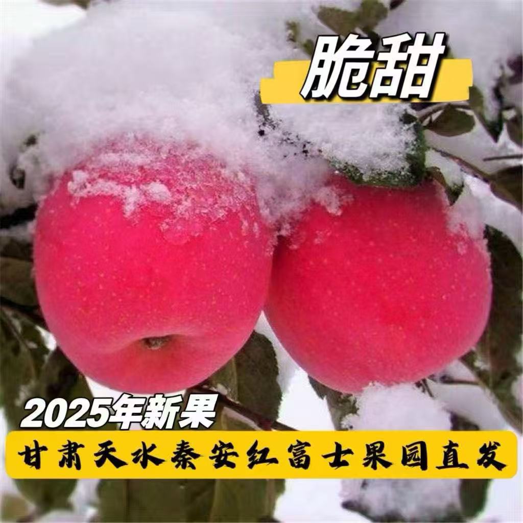 正宗甘肃天水秦安红富士苹果脆苹果新鲜当季现摘冰糖心静宁苹果