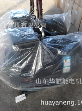 华雅能BM-132M-4-7.5KW电机替代华力电机IP55防护等级IP66 IP56
