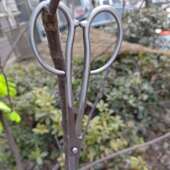 防夹手不绣钢叶芽剪高端牙剪随手剪兰花剪盆景专用剪刀折叠