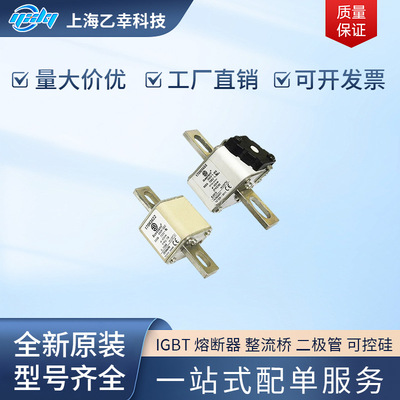 巴斯曼熔断器  170M5615 170M5616 170M5617 170M5618 170M5644