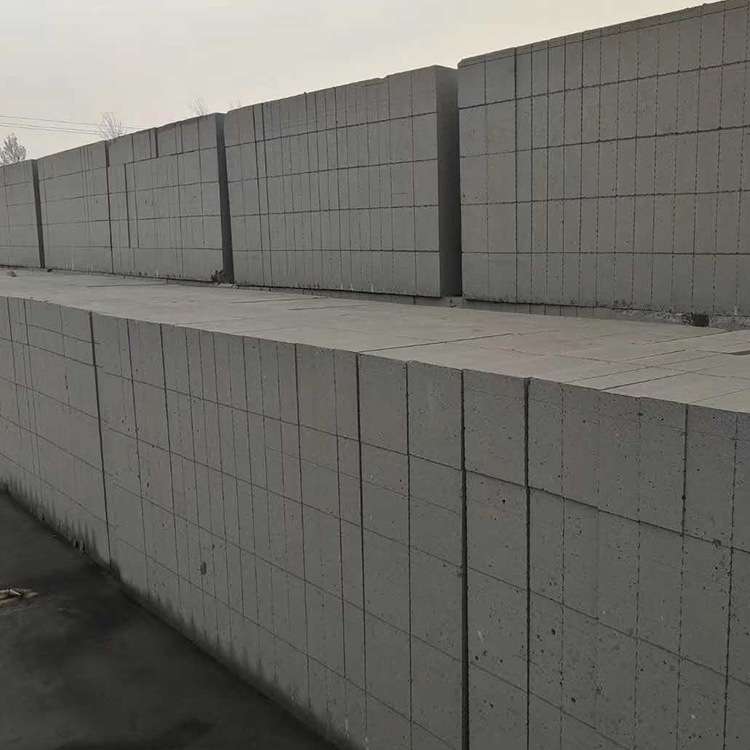 加气块蒸压混凝土砌块建筑用轻体砖防火保温砌块白色隔墙空心砖