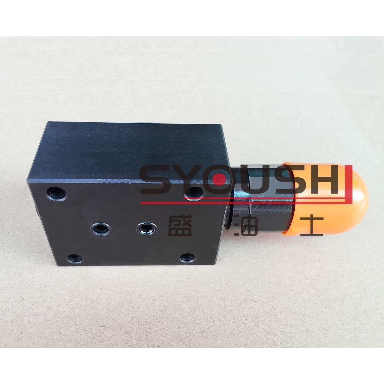 直动式溢流阀DBDH6P10B/50 DBDH6P1X/50 DBDH6P10/100现货调压阀