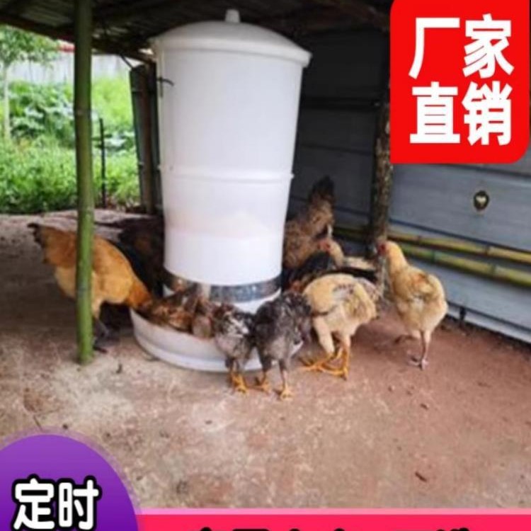 家用鸡鸭鸽全自动定时投食机