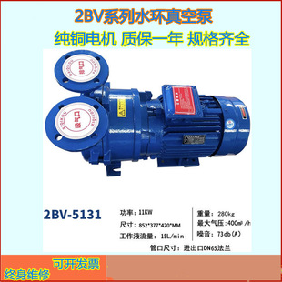 隆界2BV水环真空泵闭式循环泵传输水环式抽真空气泵成套机组设备