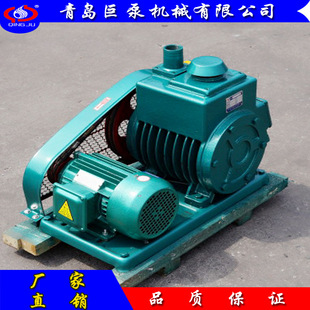 真空泵 双级旋片式 质保二年实力商家 真空泵2X