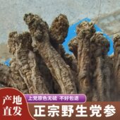 深山天然野生党参干货特级潞党参中药材无硫山西上党老纹大条整根