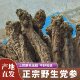 深山天然野生党参干货特级潞党参中药材无硫山西上党老纹大条整根