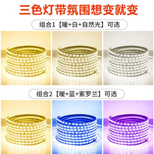 220v灯带led三色变光装饰客厅家用吊顶超亮户外防水霓虹自粘灯条