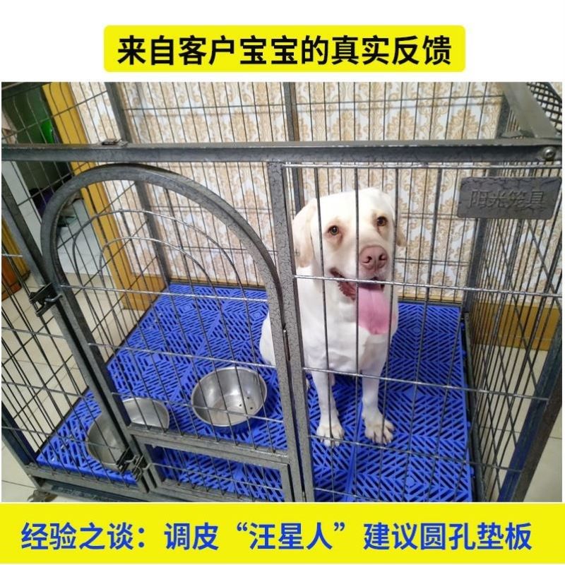 大型塑料宠物猫狗兔笼子脚垫板加厚网格防潮踏板防滑卡脚垫子垫板,宠物/宠物食品及用品,兔兔脚垫,淘宝优惠券,粉丝福利购,淘宝优惠卷