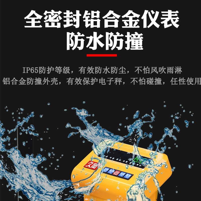广东制造高德堡电子叉车秤 2吨液压搬运车称重 可客制化