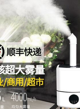 加湿器商用摆摊大雾量超市蔬菜保鲜麻辣烫展示柜水果捞冷气喷雾机