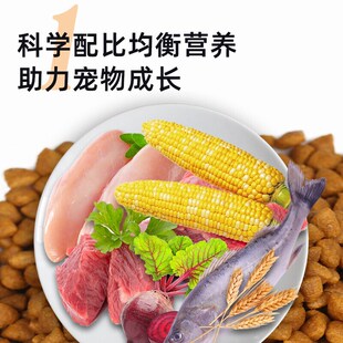 亿迪3号猫鱼肉味全价猫粮成猫幼猫老年猫通用型猫咪主粮10斤