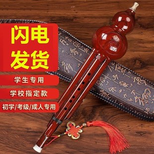 葫芦丝儿童初学者C调降b调小学生专用防摔耐用成人七孔胡芦丝乐器