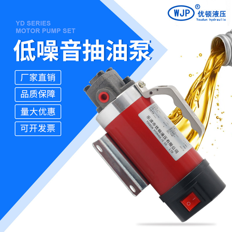 24V 保养泵自吸式抽油泵电泵小型抽油泵加油器直流抽油泵便携油泵