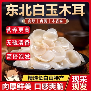白玉木耳东北干货黑木耳肉厚干净玉木耳长白山特产小碗耳白色无根