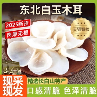 白玉木耳精品官方旗舰店无硫兔耳菌玉耳干无根木耳白木耳特产干货