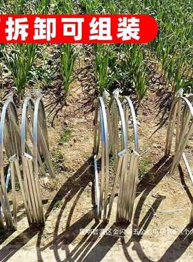 厂家走地外笼鸡养鸡隧跑笼农场ZKX庭院户鸡笼可折叠折叠式溜达养