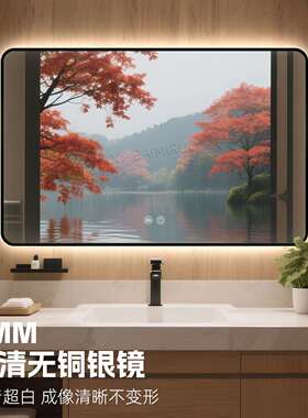 酒店高端浴室带卫框方形智能镜LE灯发光镜子72821生间壁挂梳妆镜