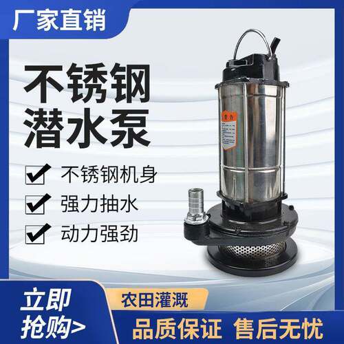 2020不钢锈清泵家水用抽水机农田灌溉高农用小型扬程压潜水泵2026