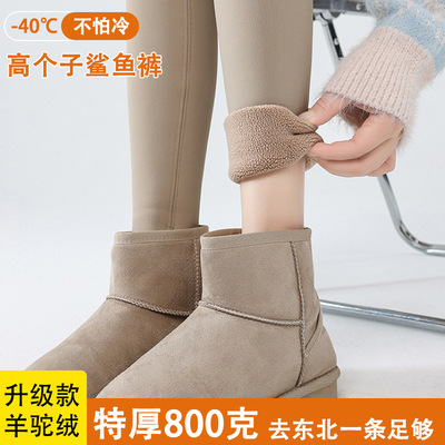 鲨鱼裤女外穿高个子加长冬季加绒加厚800g保暖打底裤可外穿羊驼绒