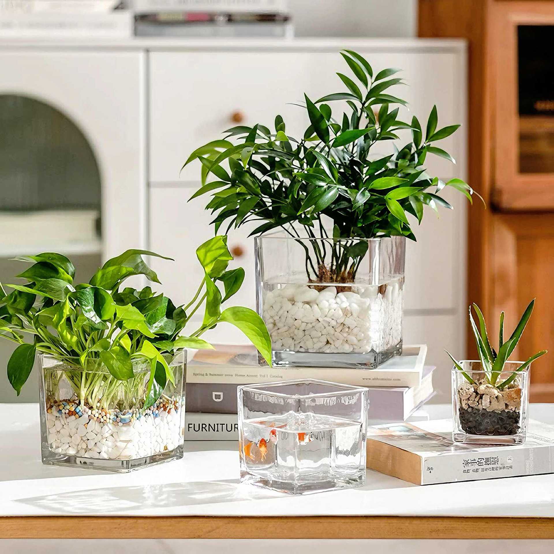 大中小方缸水养金鱼缸加厚玻璃方缸客厅花瓶桌面摆件透明玻璃