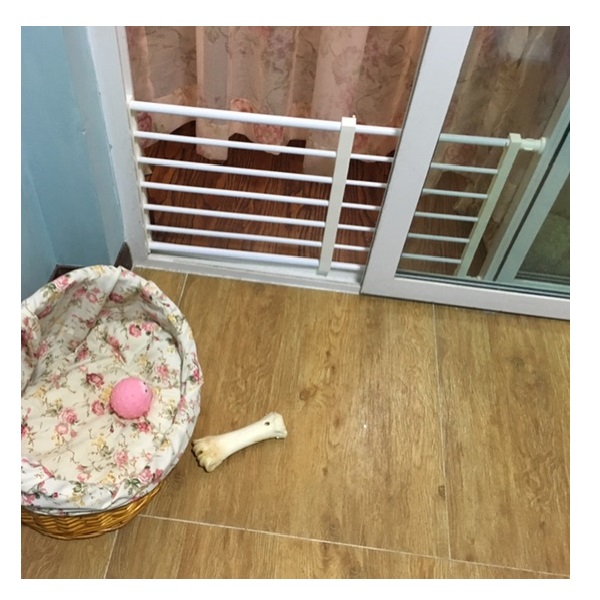 狗狗门挡卫生间宠物门栏围栏阳台栅栏厨房隔离小型犬泰迪护门挡板