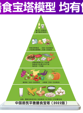糖尿病营养指导模型 中国居民膳食宝塔模型 6-10岁儿童营养模型