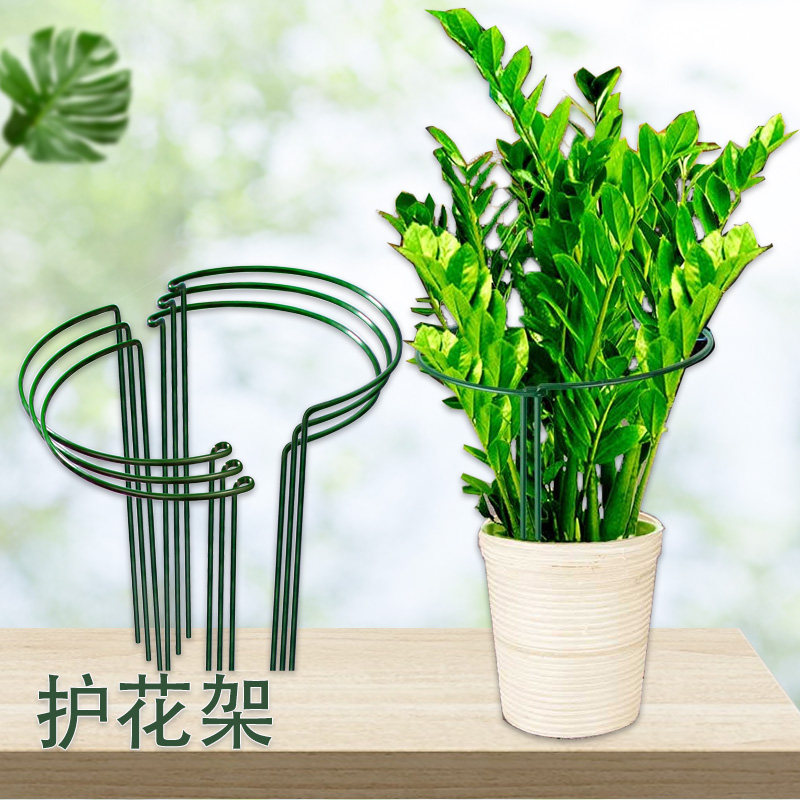 花支撑架花卉植物防倒伏固定器绣球金钱树龟背竹月季花架爬藤支架