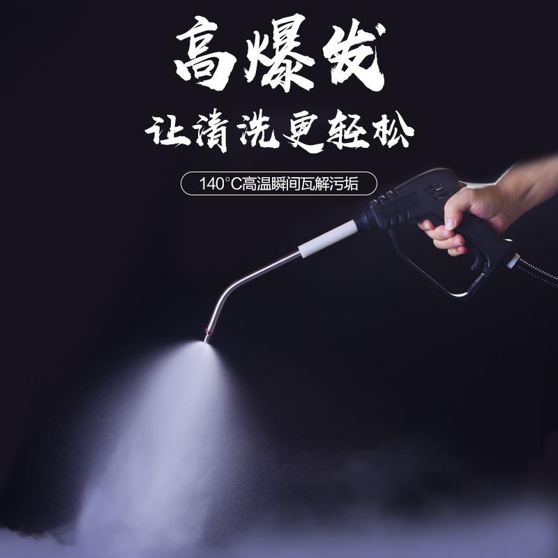 乐善LS-2508变频蒸汽清洁机 高压多功能清洗机 商用电动设备