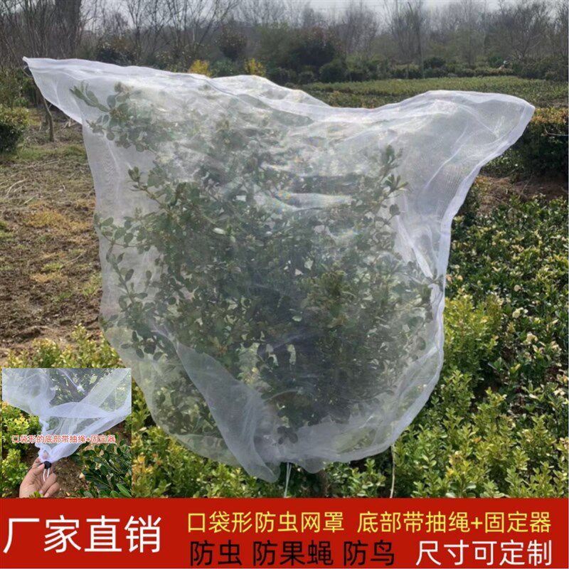 防虫网罩莲雾樱桃杨梅蓝莓果树防鸟防果蝇防蚊袋透气透光抗老化