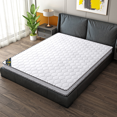 椰棕床垫棕垫硬垫折叠棕榈垫子1.5米1.8m1.2儿童乳W胶席梦思可定