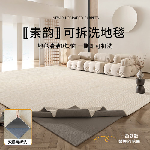 地毯客厅可拆洗2024新款侘寂奶油风可机洗卧室高级感沙发茶几地垫