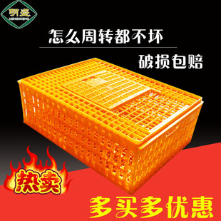 塑料鸡笼运输鸡筐鸡框周转成鸡箱鸭笼鸽笼鸭箱鹅箱家用运输笼
