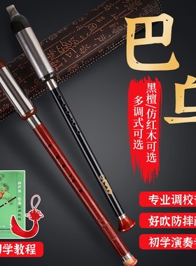 黑檀巴乌乐器小学生巴乌竖v吹F调C调G调专业演奏单管巴乌送盒子