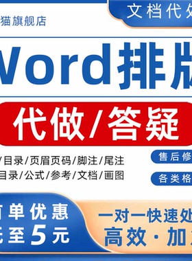 word问题解决答疑远程指导咨询排版教程代做制作美化文档在线修改