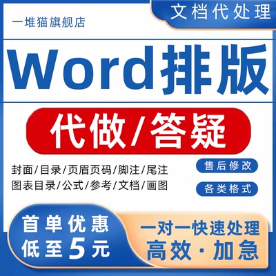 word问题解决答疑远程指导咨询排版教程代做制作美化文档在线修改