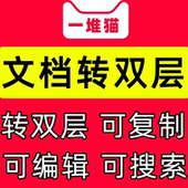 pdf代转换双层可编辑复制投标标书ocr文字识别招标扫描格式 搜索