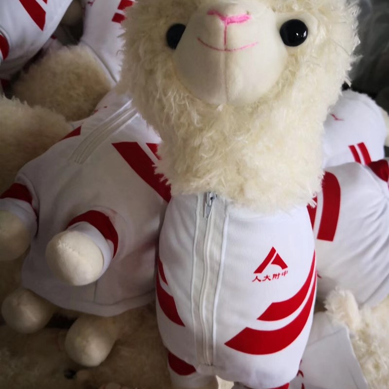 人大附中校服熊羊驼穿衣熊定制(也可定制其他学校公司的熊)