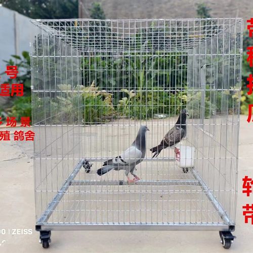 养殖笼具宠物笼子鸡笼鸽笼兔笼可折叠可移动简易安装