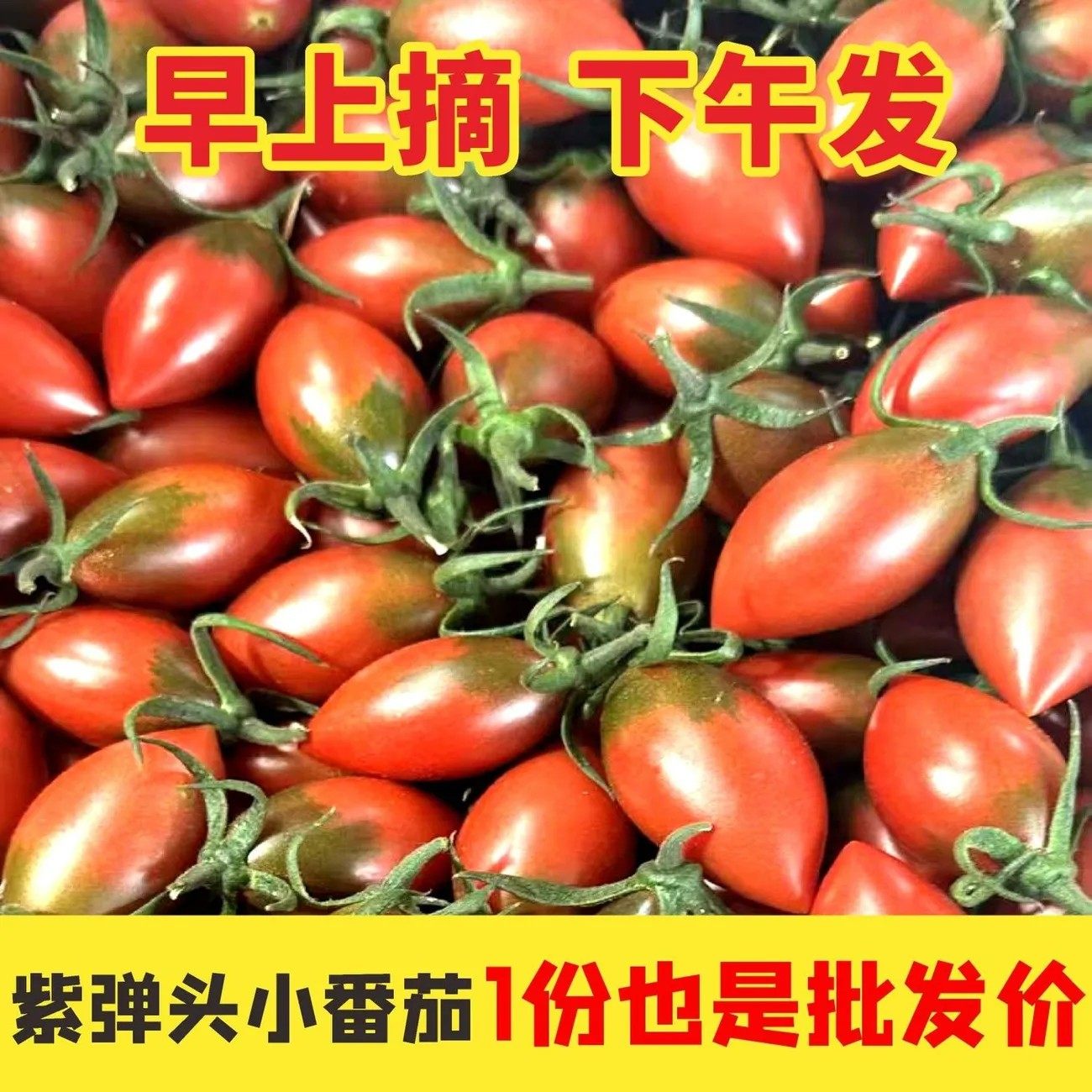 福建紫弹头小番茄圣女果儿童孕妇新鲜时令水果非千禧现摘现发迷彩