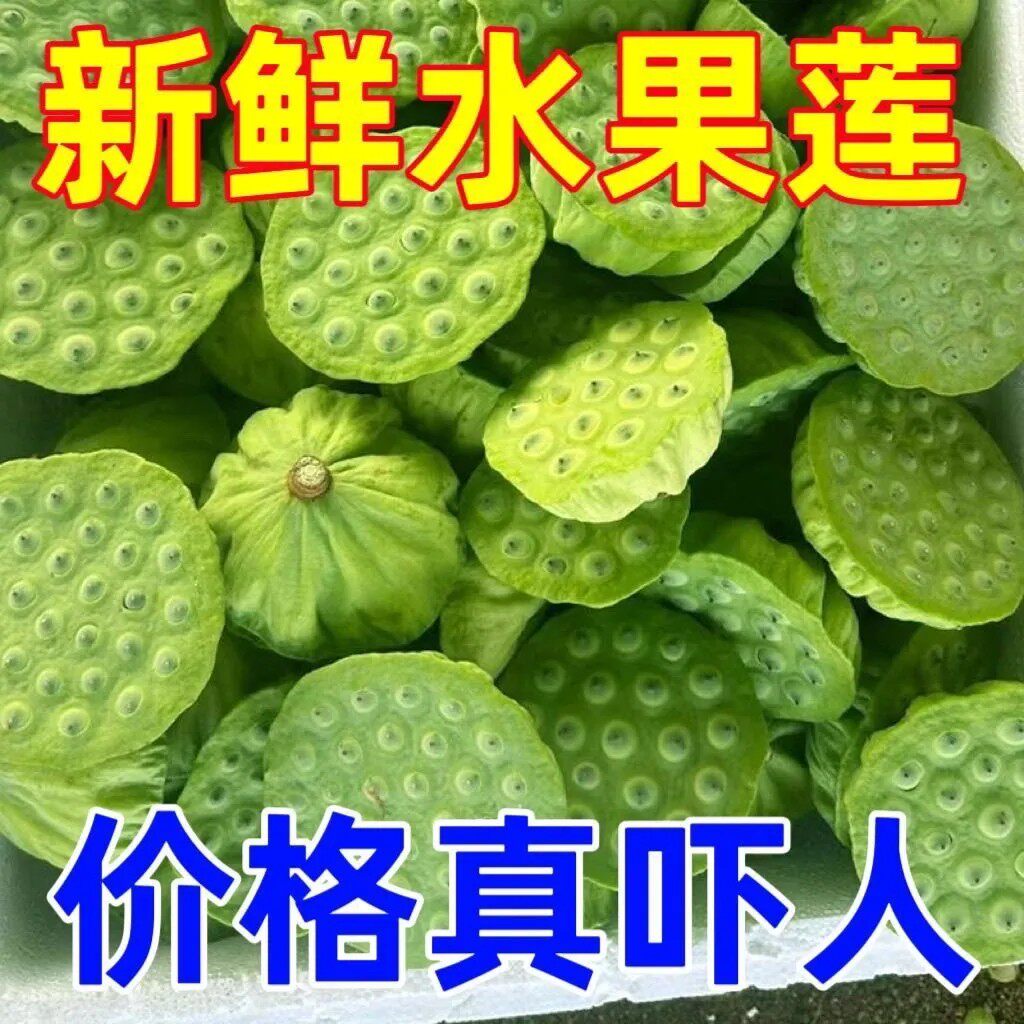 【现货】新鲜莲蓬莲子带壳生吃现摘莲蓬当季水果莲蓬新鲜鲜莲子