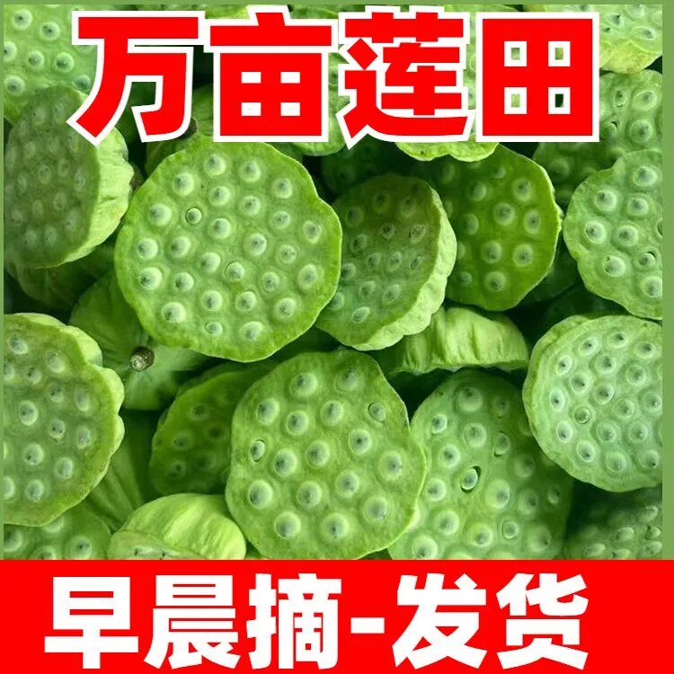 新鲜水果莲蓬生吃现摘生吃莲子孕妇应季嫩莲带壳莲新鲜莲蓬现货