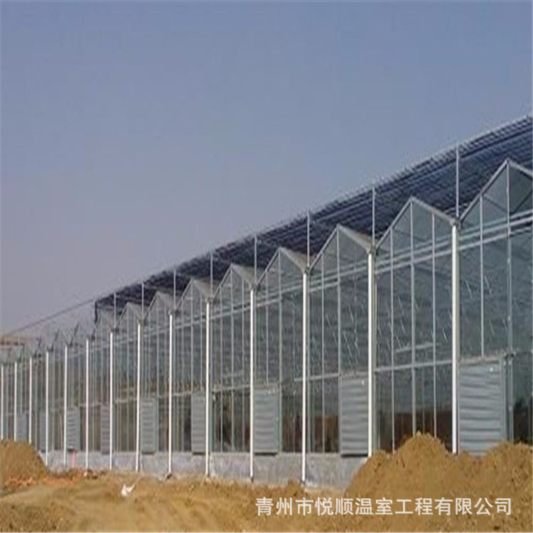 【温室大棚】文洛型连栋智能玻璃温室 花卉农业养殖温室大棚工程