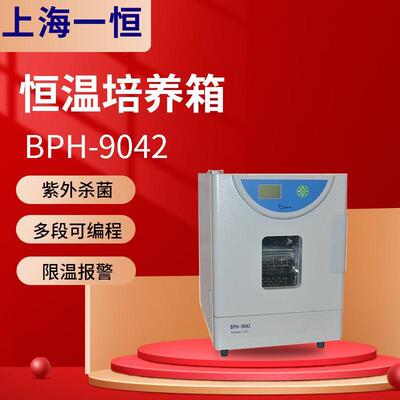 上海一恒DHP-9082/9082B/9162实验室培养箱低温培养箱