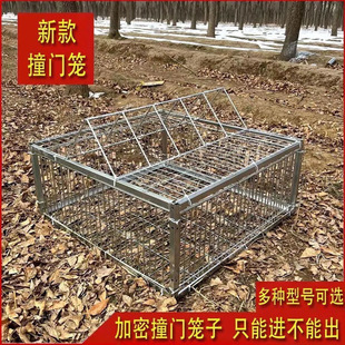 户外天落笼鸽子笼撞门活络门鸽笼铁笼只进不出跳笼房顶自动门 包邮